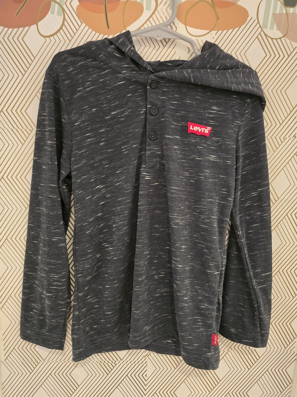 Levi's Variegated Long-Sleeve Hooded Shirt